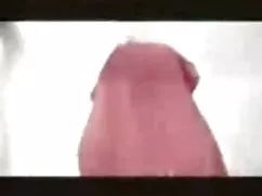 خواهر سوپر دوجنسه ها ...