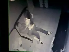 شلخته لاغر پلاگین pa ...