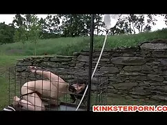 کارتون نشان می دهد - ...