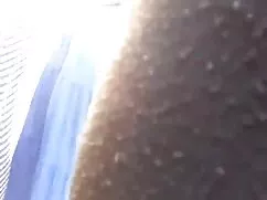 اردک مادر سپس سکس دو ...