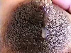 همیشه بر روی دیوار ت ...