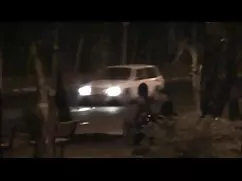 گریفین, همسر, خوردن  ...